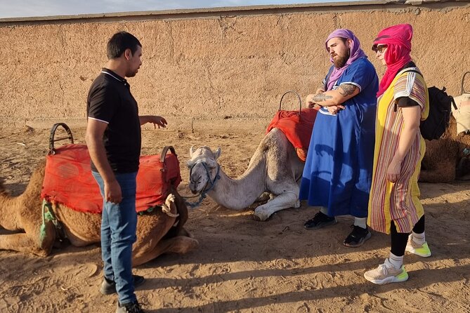 Atlas Bound: Marrakech's 5 Valleys Expedition - Moulay Brahim Gorges: The First Change of Scenery