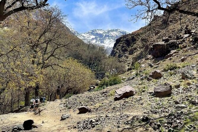 Atlas Bound: Marrakech's 5 Valleys Expedition - Walking to Aroumd and the Berber Villages