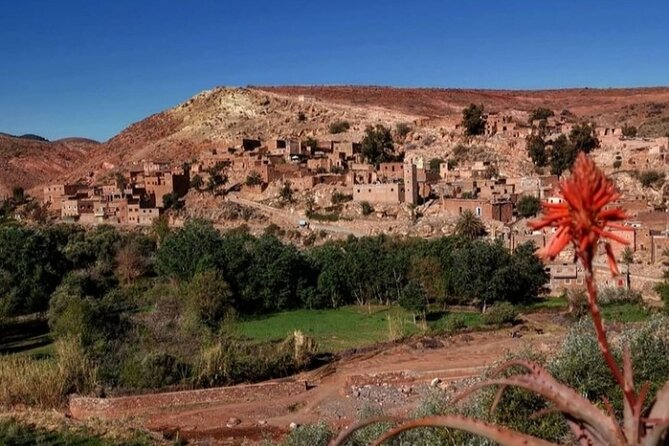 Atlas Bound: Marrakech's 5 Valleys Expedition - Asni and the Saturday Market