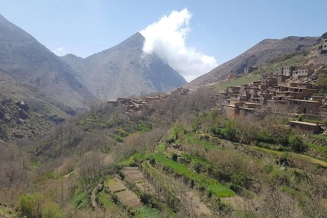 Atlas Mountain & Berber Villages and Waterfalls Day Trip from Marrakech - Tea in a Berber family home