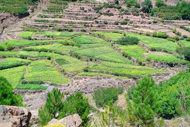 Atlas Mountain & Berber Villages and Waterfalls Day Trip from Marrakech - The waterfalls near Imlil and Armed