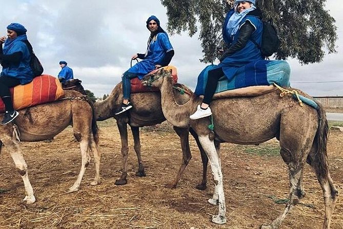 Atlas Mountain & Berber Villages and Waterfalls Day Trip from Marrakech - The guide can shape the whole day