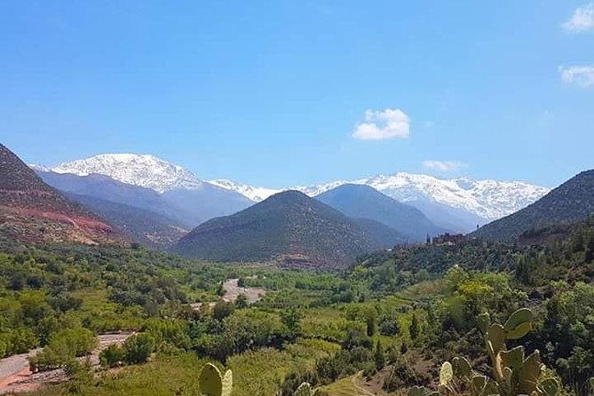 Atlas Mountain & Berber Villages and Waterfalls Day Trip from Marrakech - The camel ride near Moulay Brahim
