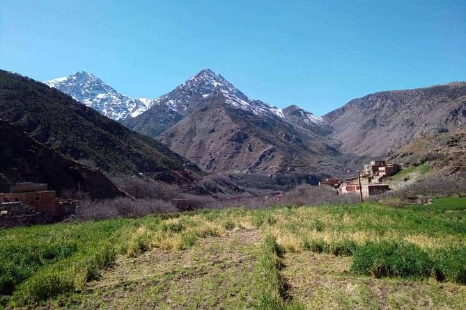 Atlas Mountain Day Trip - Who will enjoy this day most