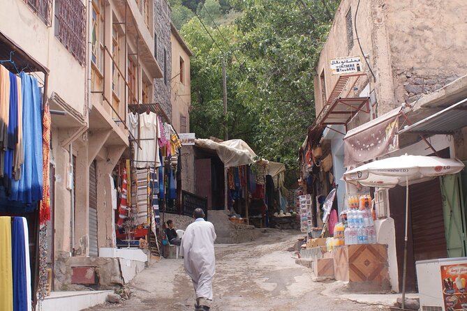 Atlas Mountain Full Day Tour with Three Valleys and Waterfalls - Walking to the Imlil waterfalls