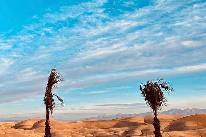 Atlas Mountain Imlil Waterfall & Berber Villages Camel Ride Trip - Transport and pickup can shape the whole outing