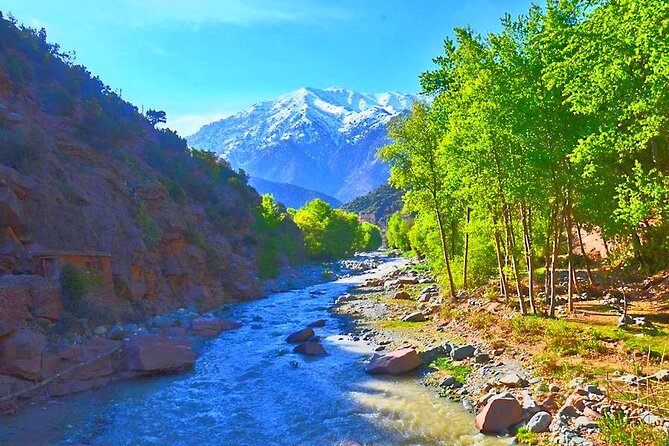 Atlas Mountains, 3 Valleys & Agafay Desert from Marrakech-DayTour - Tea with a Berber family in the Imlil Valley