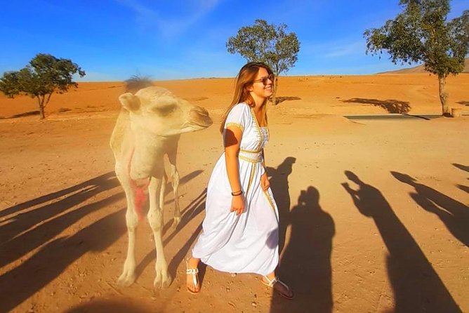 Atlas Mountains, 3 Valleys & Agafay Desert from Marrakech-DayTour - Lunch with a view, at your own cost