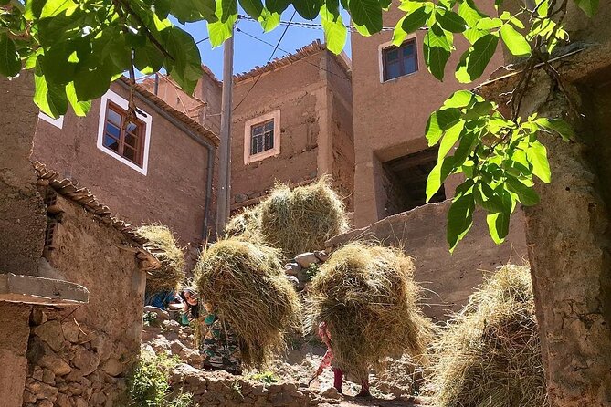 Atlas mountains 3valleys waterfall & camel ride - Lunch on a rooftop in a Berber family home