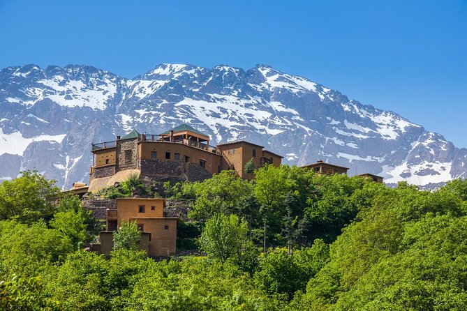 Atlas Mountains and 3 Valleys from Marrakech including Camel Ride - The camel ride at Moulay Ibrahim River