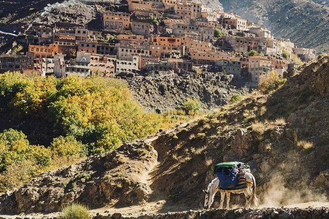 Atlas Mountains and 3 Valleys & Waterfalls - Camel Ride Marrakech - The $10 price and what it really means