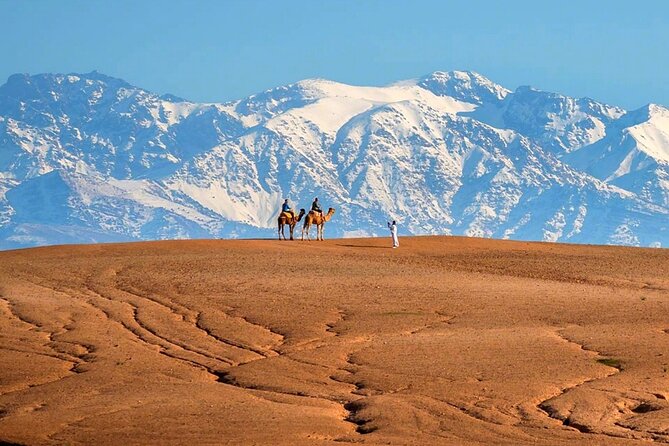 Atlas Mountains and Berber villages & Waterfalls with Camel ride - Argan Oil, Bread, and Mint Tea