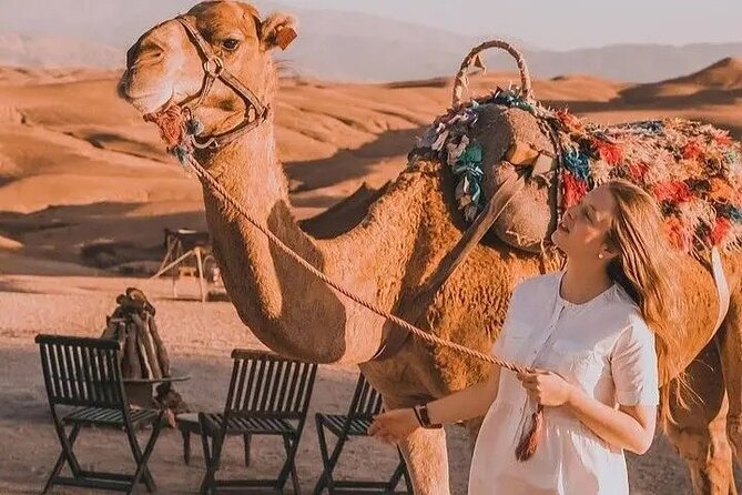 Atlas Mountains and Berber villages & Waterfalls with Camel ride - Drivers, Guides, and the Shared-Tour Question