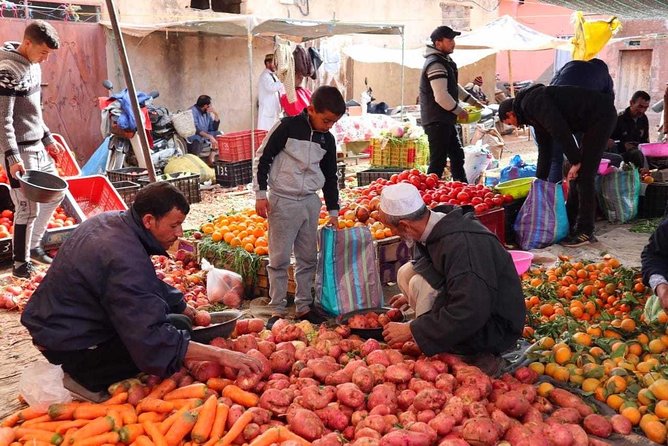 Atlas Mountains and Three Valleys & Waterfalls with Camel ride Day Trip - Key points to know before booking