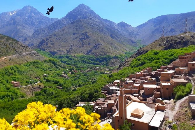 Atlas Mountains and Three Valleys & Waterfalls with Camel ride Day Trip - An argan oil stop in Tahnaout