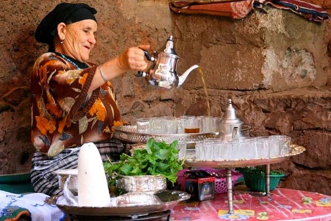Atlas Mountains and Three Valleys & Waterfalls with Camel ride Guided Day Trip - Mazik Village and a Berber family home