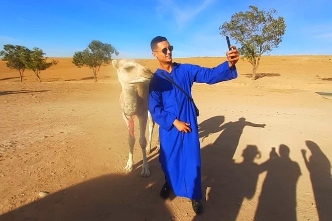 Atlas Mountains and Three Valleys & Waterfalls with Camel ride Guided Day Trip - Lunch, tea, and the real price of the trip