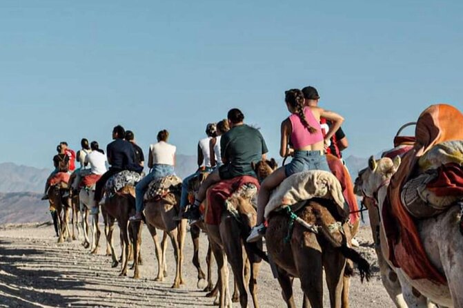 Atlas Mountains, Berber Villages and Three Valleys all inclusive - The argan oil cooperative stop