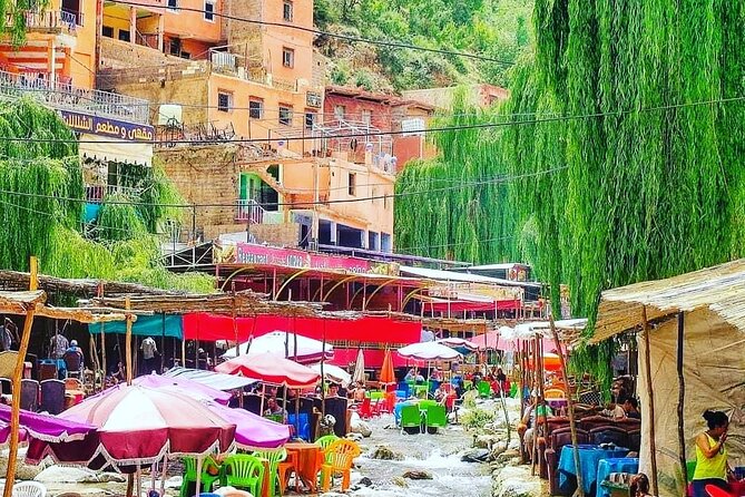 Atlas Mountains & Berber villages: optional Camel ride/Waterfall - Argan oil and the women’s cooperative