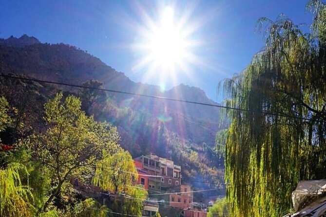 Atlas Mountains & Berber villages: optional Camel ride/Waterfall - What the guide service is really worth