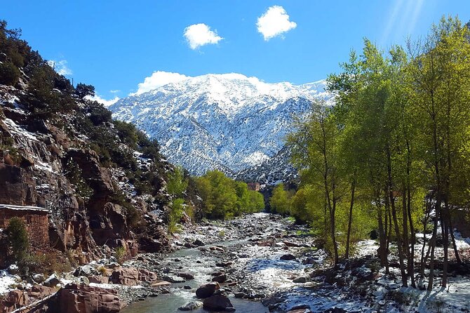 Atlas Mountains & Berber villages: optional Camel ride/Waterfall - Is $75 a fair price?