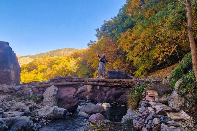 Atlas Mountains & Berber Villages & Waterfalls & Camel Ride Trip - Mint tea and a Berber family lunch