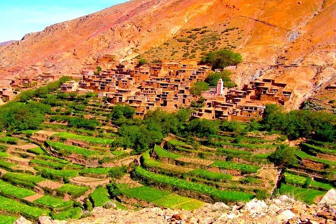 Atlas Mountains Day Trip with Camel Ride from Marrakech - The argan co-operative near Tahnouat