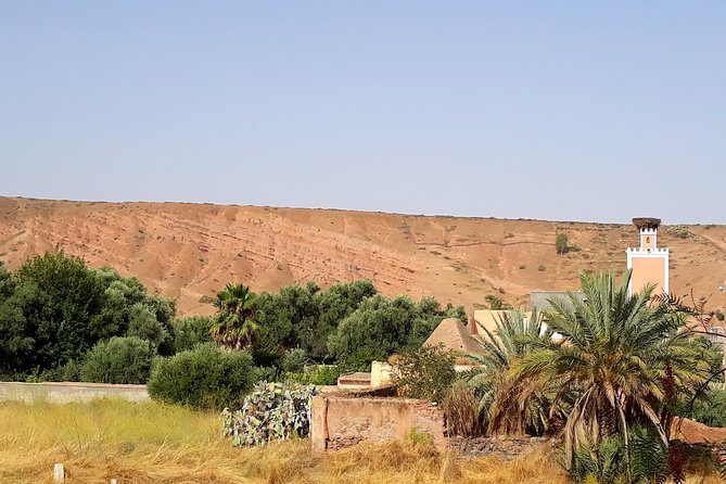 Atlas Mountains experience day trip - Adding the camel ride and mint tea