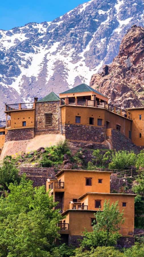 Atlas Mountains:Full-Day Trek to Berber Villages & Waterfall - From Marrakech streets to Atlas Mountain trails
