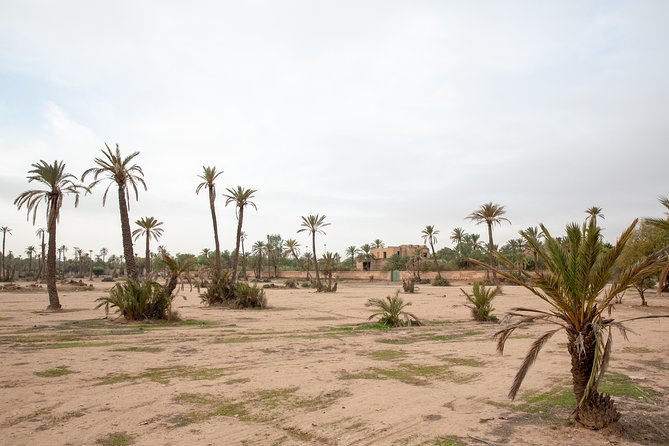 Atlas Mountains Hot Air Balloon Ride from Marrakech with Berber Breakfast and Desert Camel Experience - Berber breakfast under the tent