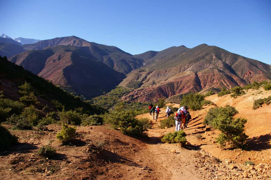 Atlas Mountains: Ijoukak and 4 Valleys with Camel Ride - The guides and drivers make a real difference