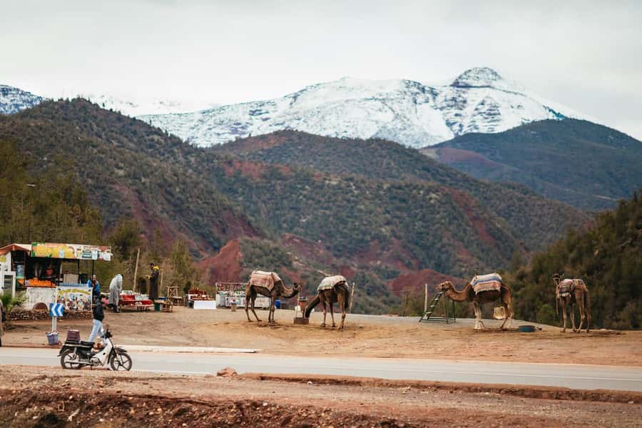 Atlas mountains, Ourika valley, berber villages trip & Guide - Entering a Berber home for mint tea