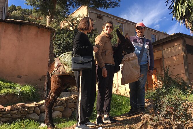 Atlas Mountains Ourika valley Day Tour from Marrakech - The camel ride across the valley