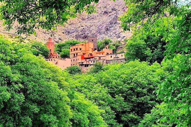 Atlas Mountains & Ourika Valley Private Day Trip From Marrakech - Transport, guides, and the private setup