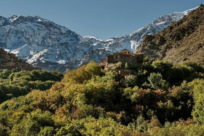 Atlas mountains privat day trip - Lunch with tajine, salad, and fruit