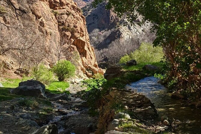 Atlas Mountains & Waterfalls Day Trip from Marrakech - Who should book this mountain day
