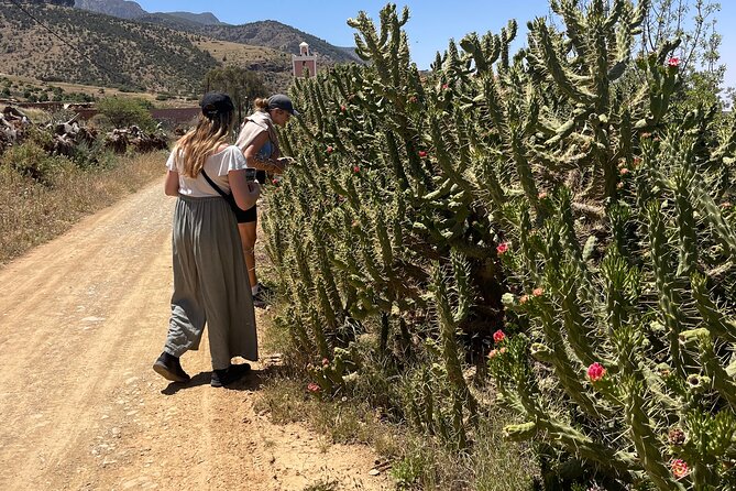 Atlas: Pottery workshop , hiking and swimming pool - Who should book this Atlas pottery day