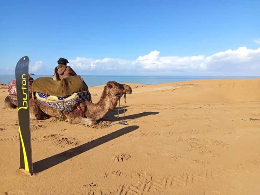 Best Agadir Desert Adventure: Quad Camel Sandboarding & BBQ - Camel riding gives the afternoon a traditional touch