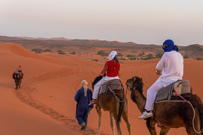 BEST Marrakech to Fes desert tour 3 days - Why this route works as a Morocco sampler