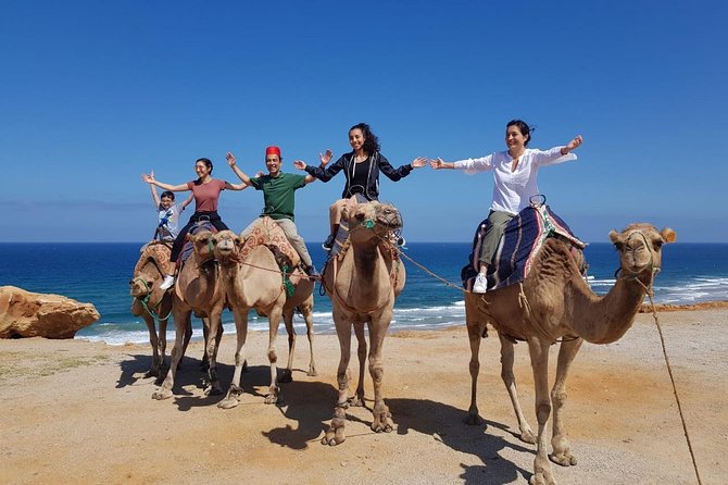 Best of Tangier: Camel Ride, Medina Walk & Breathtaking Views - The guide and vehicle make the difference