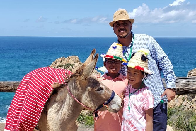 BEST SELLER TANGIER PRIVATE TOUR: Highlights, Camels & Old Town - Hercules Cave, the tour’s visual centerpiece