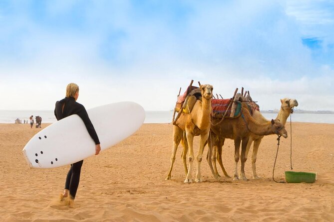 Big Cap Sim dunes and forest 3 hours tour. - Cape Sim gives you three kinds of riding in one trip