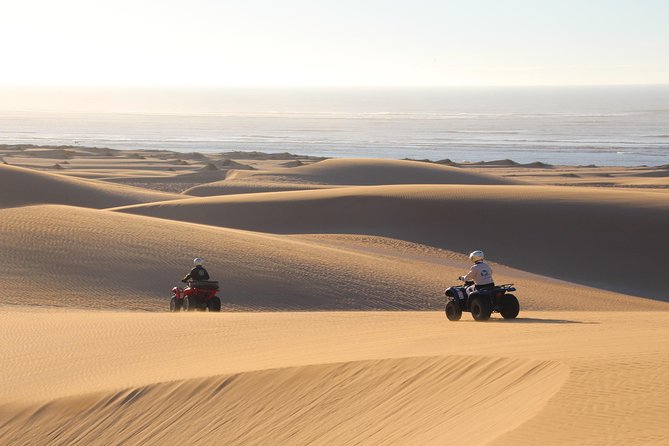 Big Cap Sim dunes and forest 3 hours tour. - What the private format changes