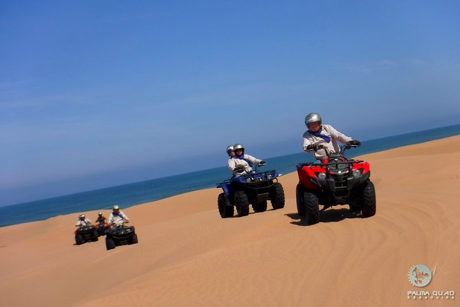 Big Cap Sim dunes and forest 3 hours tour. - Clean equipment and a sensible safety setup