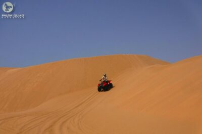 Big dunes and atlantic coast tour 2 HOURS