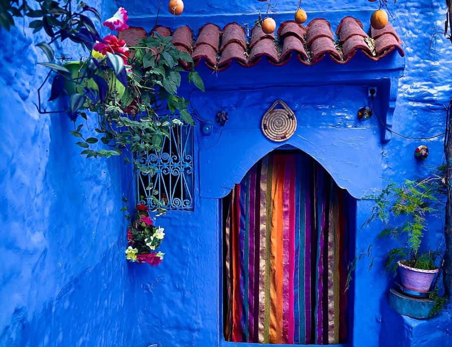 Blue City magic: Affordable Day Trip from Fez to Chefchaouen - Key points at a glance