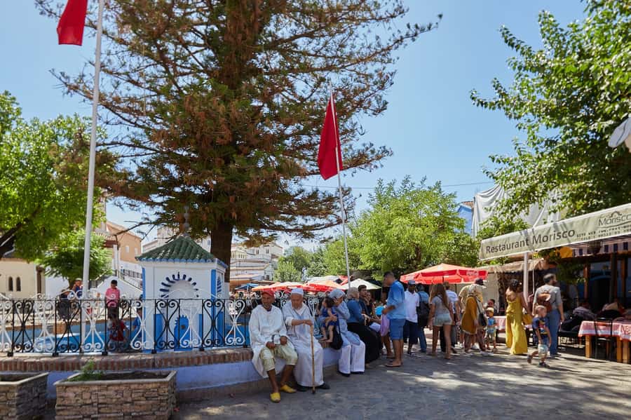 Blue City magic: Affordable Day Trip from Fez to Chefchaouen - What this $22 trip really offers