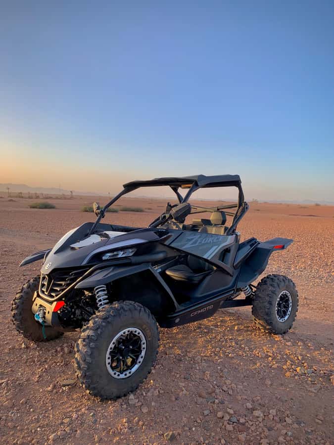 Buggy Marrakech Desert and Palmerie - Gravel, sand, bumps, and palm-lined tracks