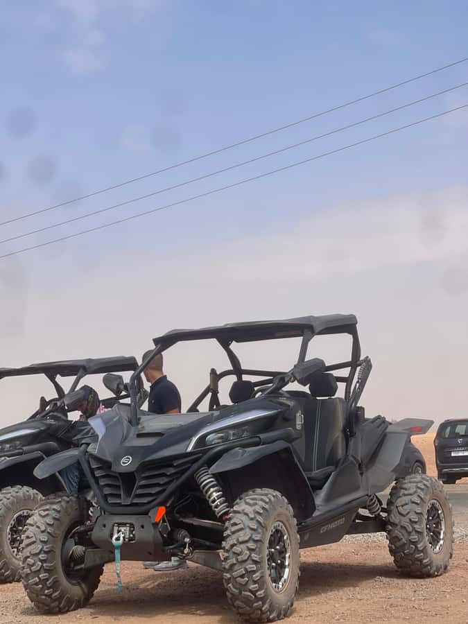 Buggy Marrakech Desert and Palmerie - Palmerie photo stops and Atlas Mountain views