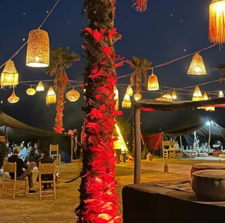 Buggy ride with camels and dinner show in agafay desert - Key points to know before booking